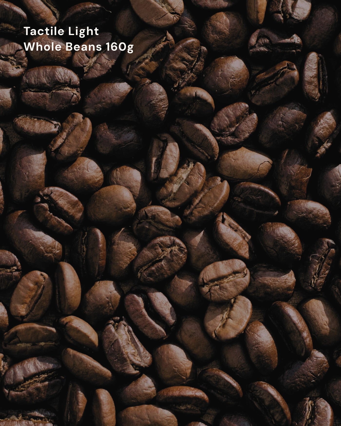 Tactile Light 豆のまま 160g × 1種
